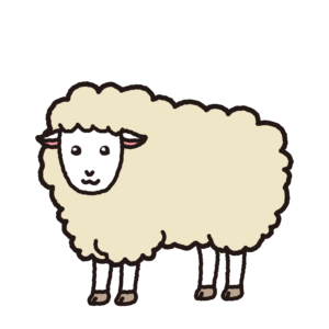 ウール　羊画像